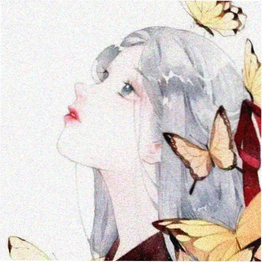 雷佳音